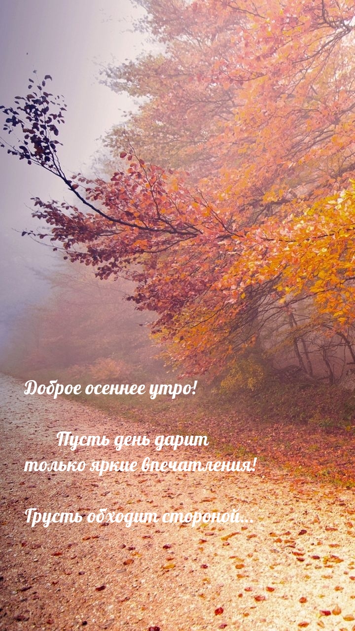 ��������: ������ ������� ����!