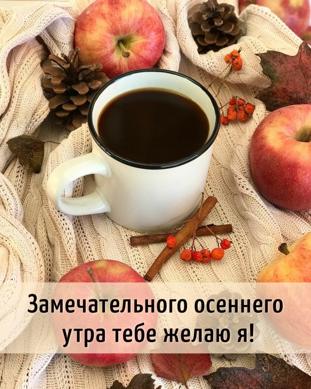 ��������: �������������� �������� ���� ���� ����� �!
