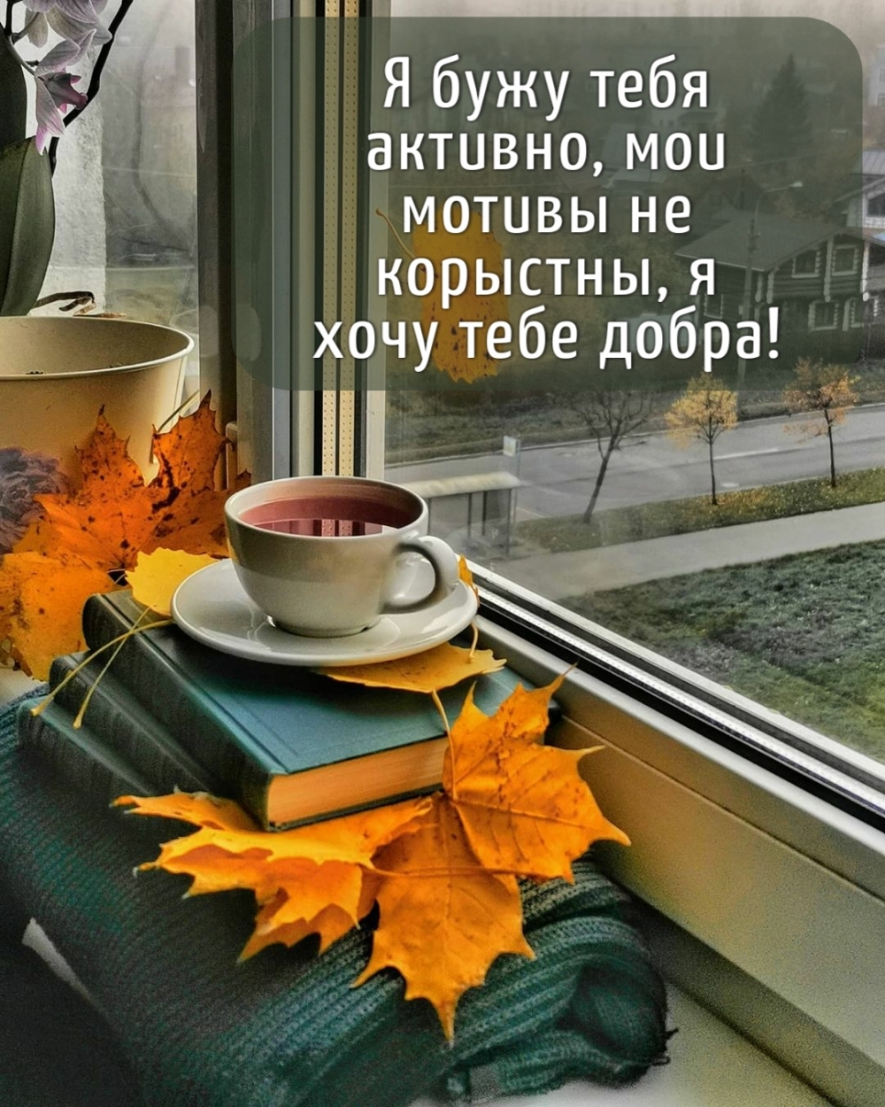 Картинка: Я бужу тебя активно, мои мотивы не корыстны