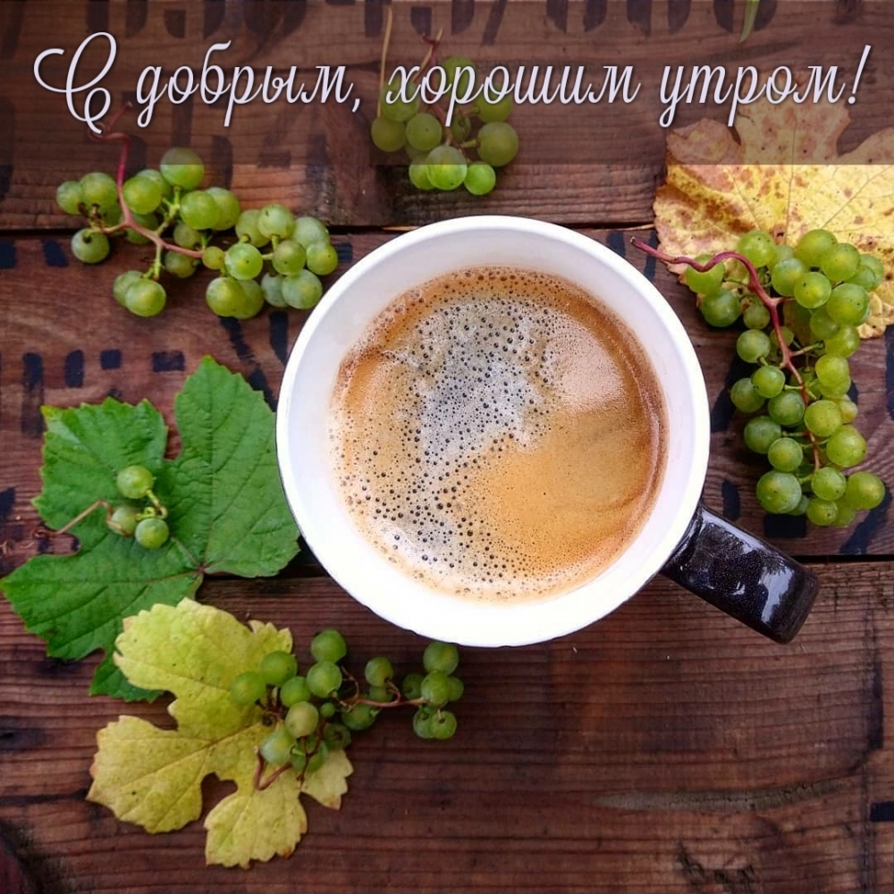 Картинка: С добрым, хорошим утром!