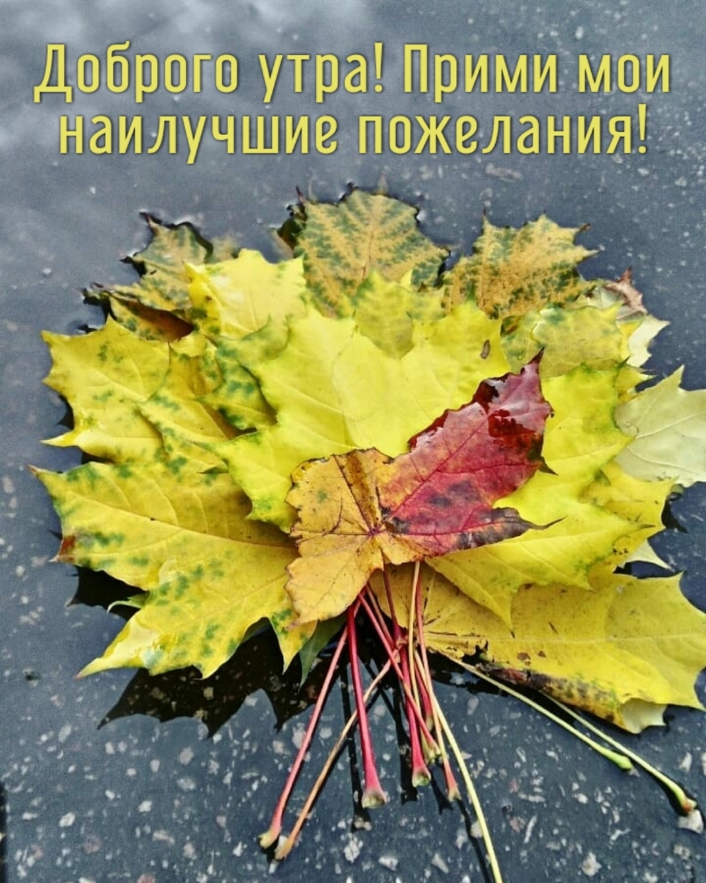 ��������: ������� ����! ����� ��� ��������� ���������!