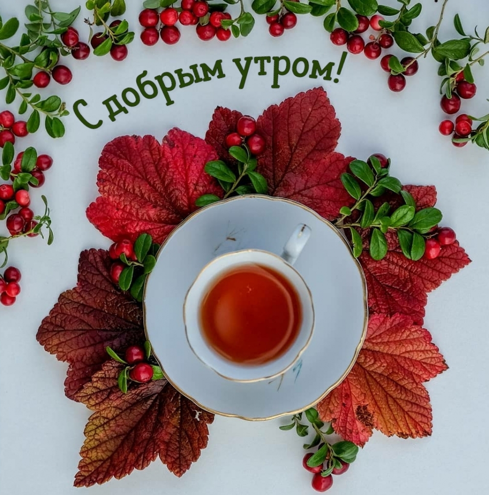 Картинка: С добрым утром!