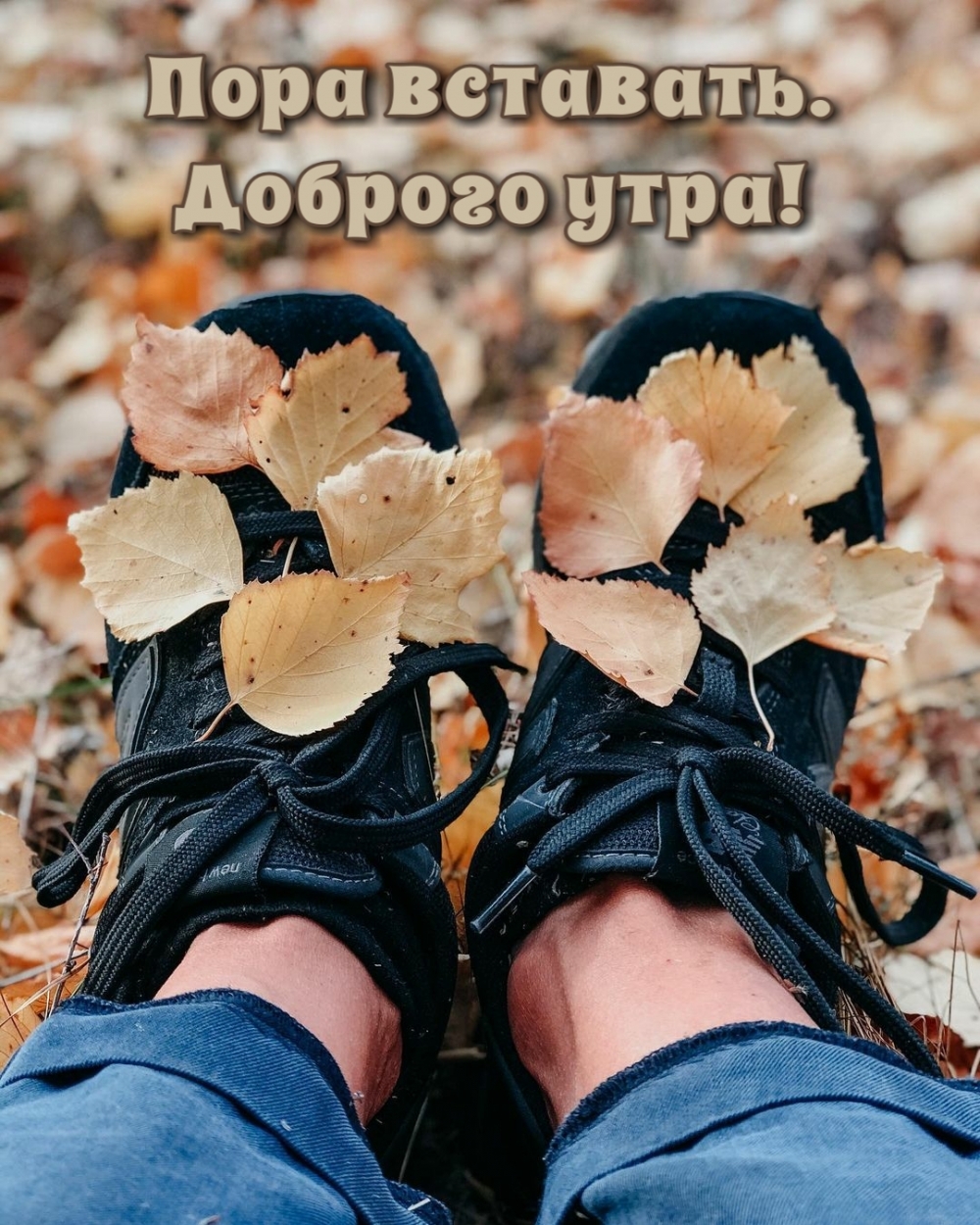 ��������: ���� ��������. ������� ����!