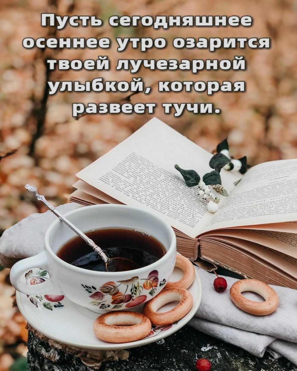 ��������: ����� ������� ���� �������� ����� ���������� �������