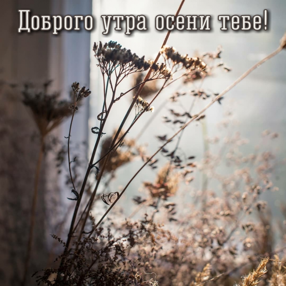 Картинка: Доброго утра осени тебе!