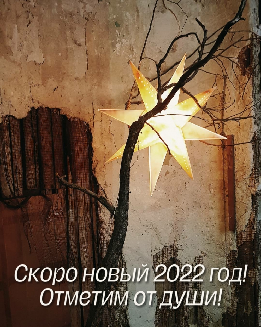 С колодинка фото 2021