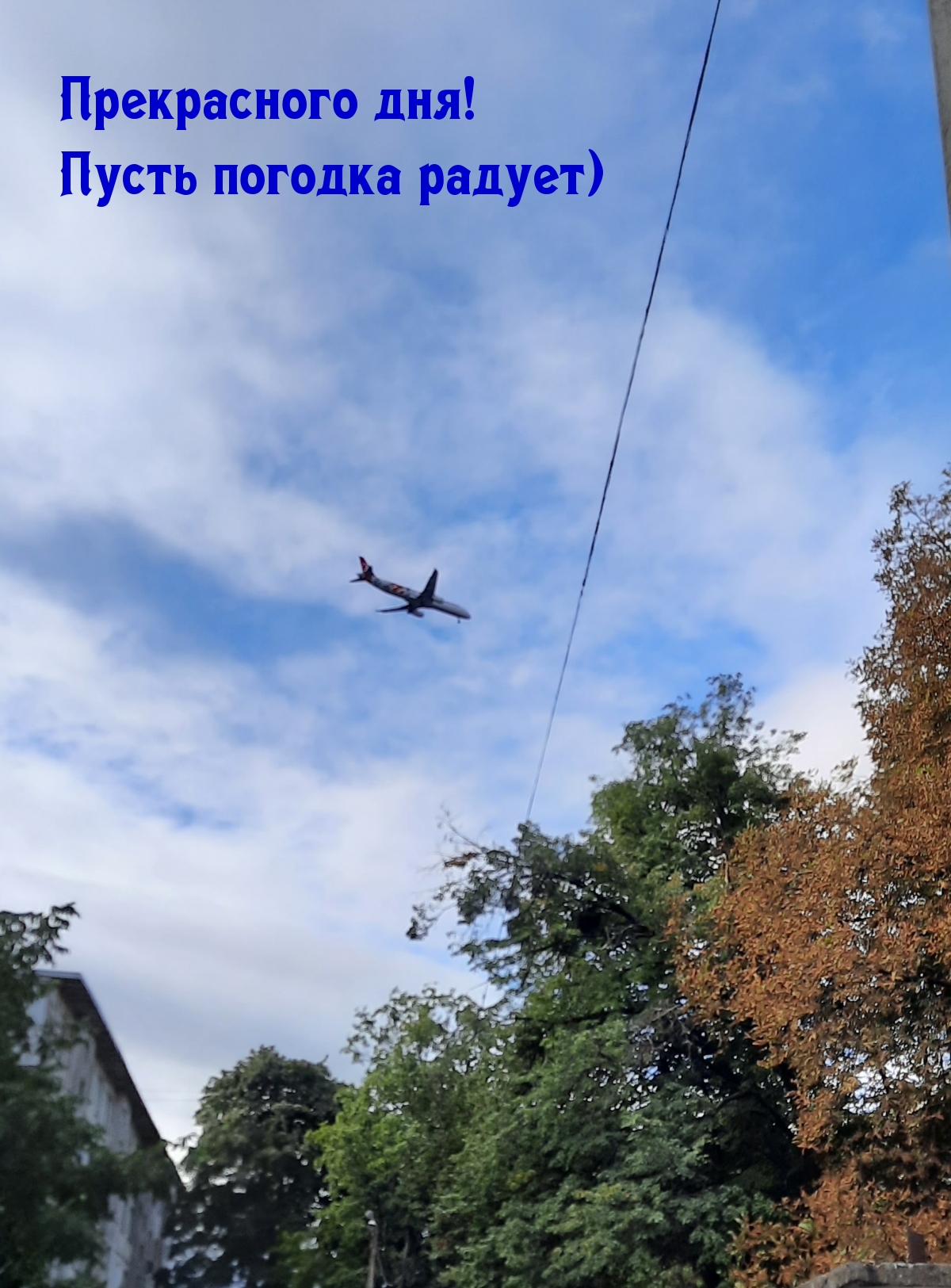 Картинка: Прекрасного дня! Пусть погодка радует)