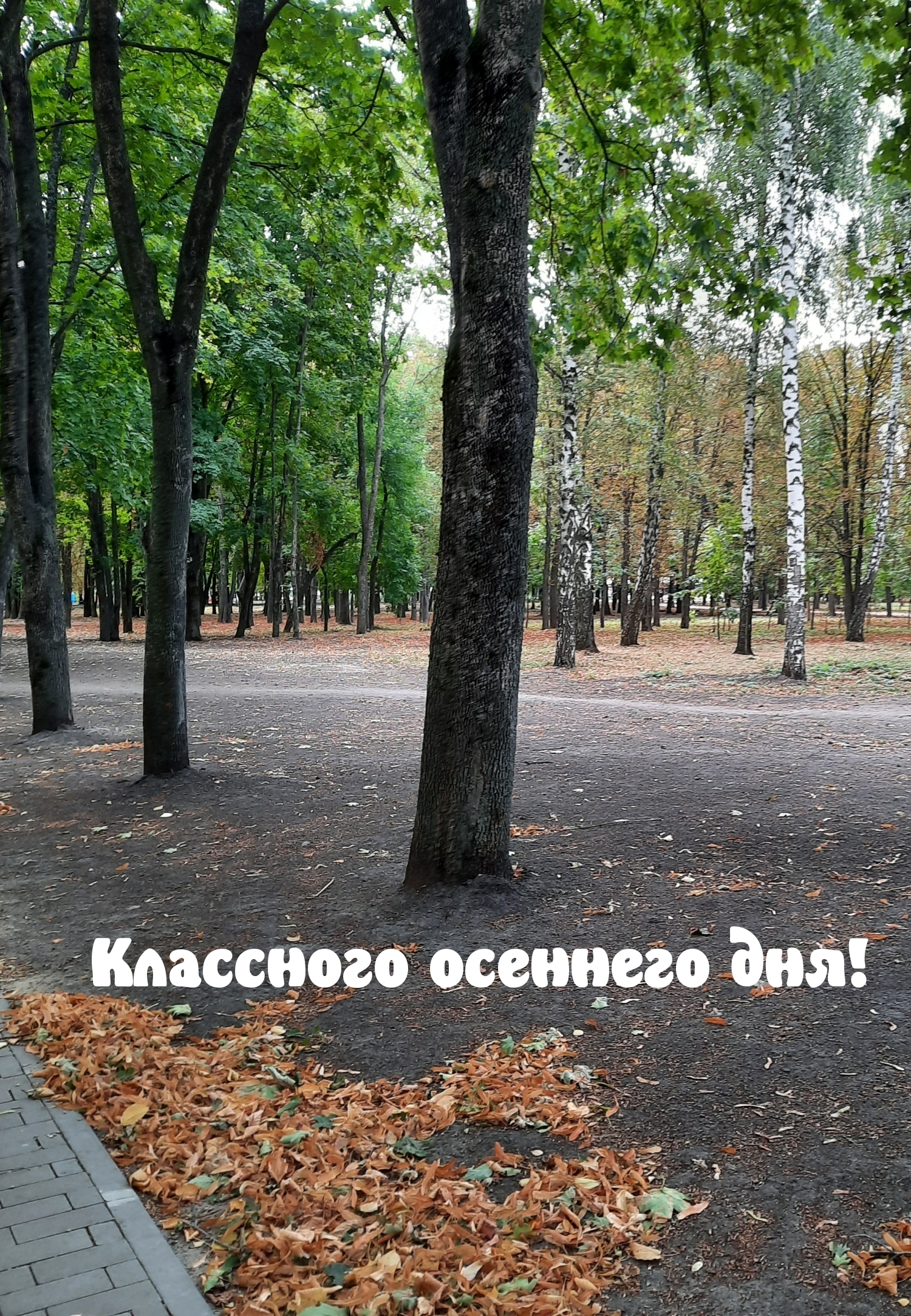 Картинка: Классного осеннего дня!