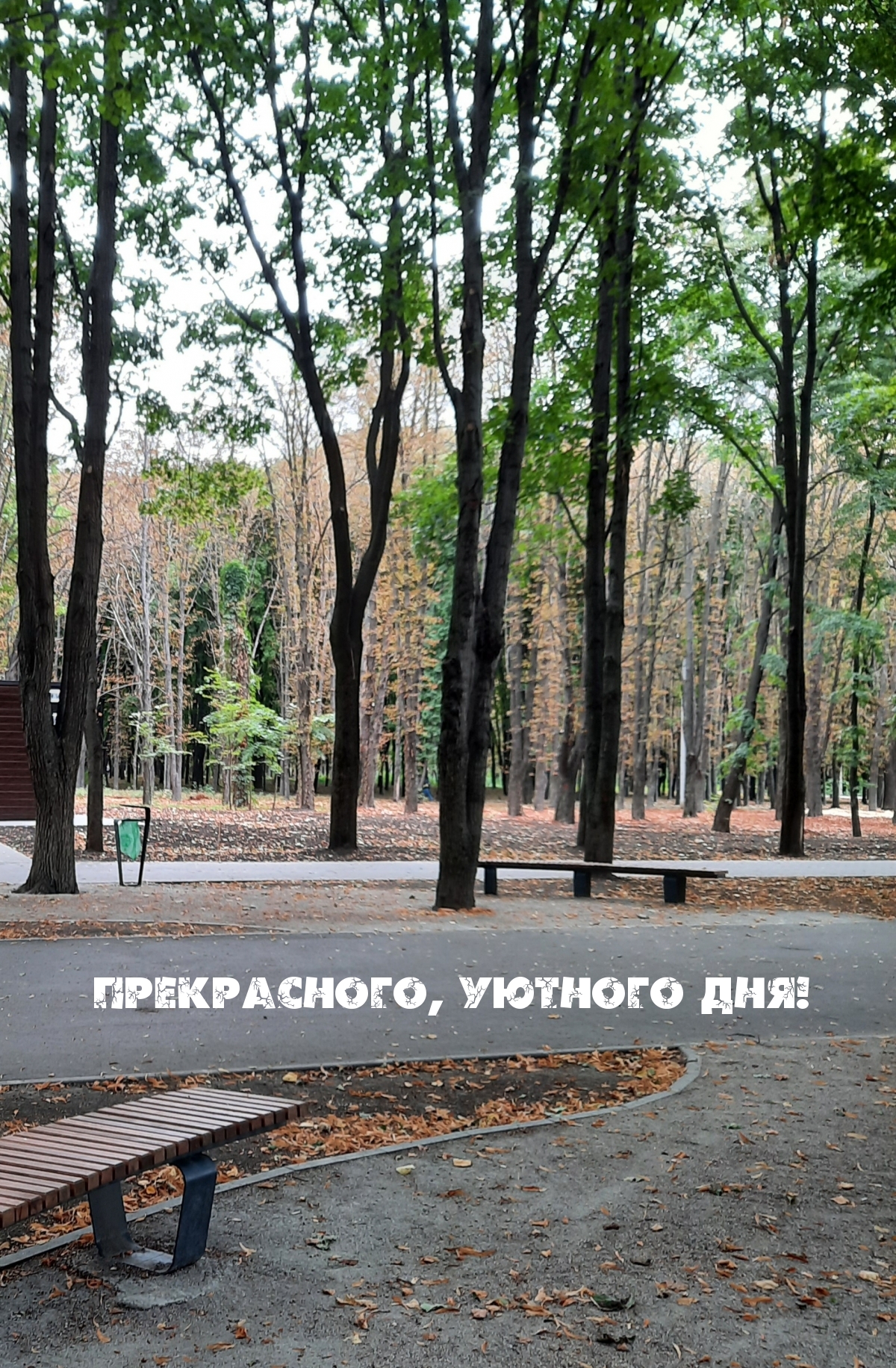 Картинка: Прекрасного, уютного дня!
