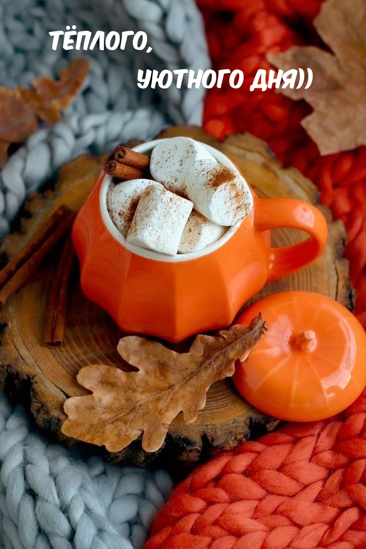 Ҹ�����, ������� ���))