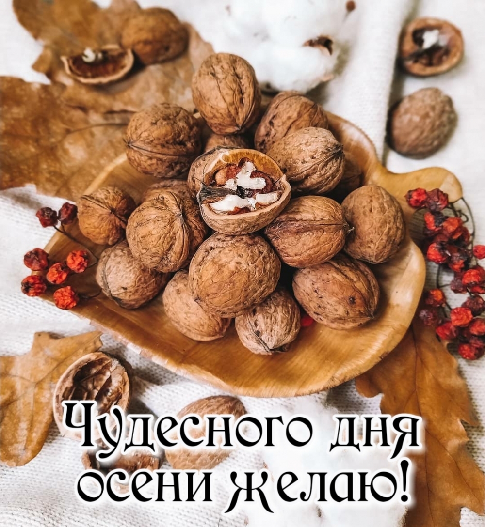 Картинка: Чудесного дня осени желаю!
