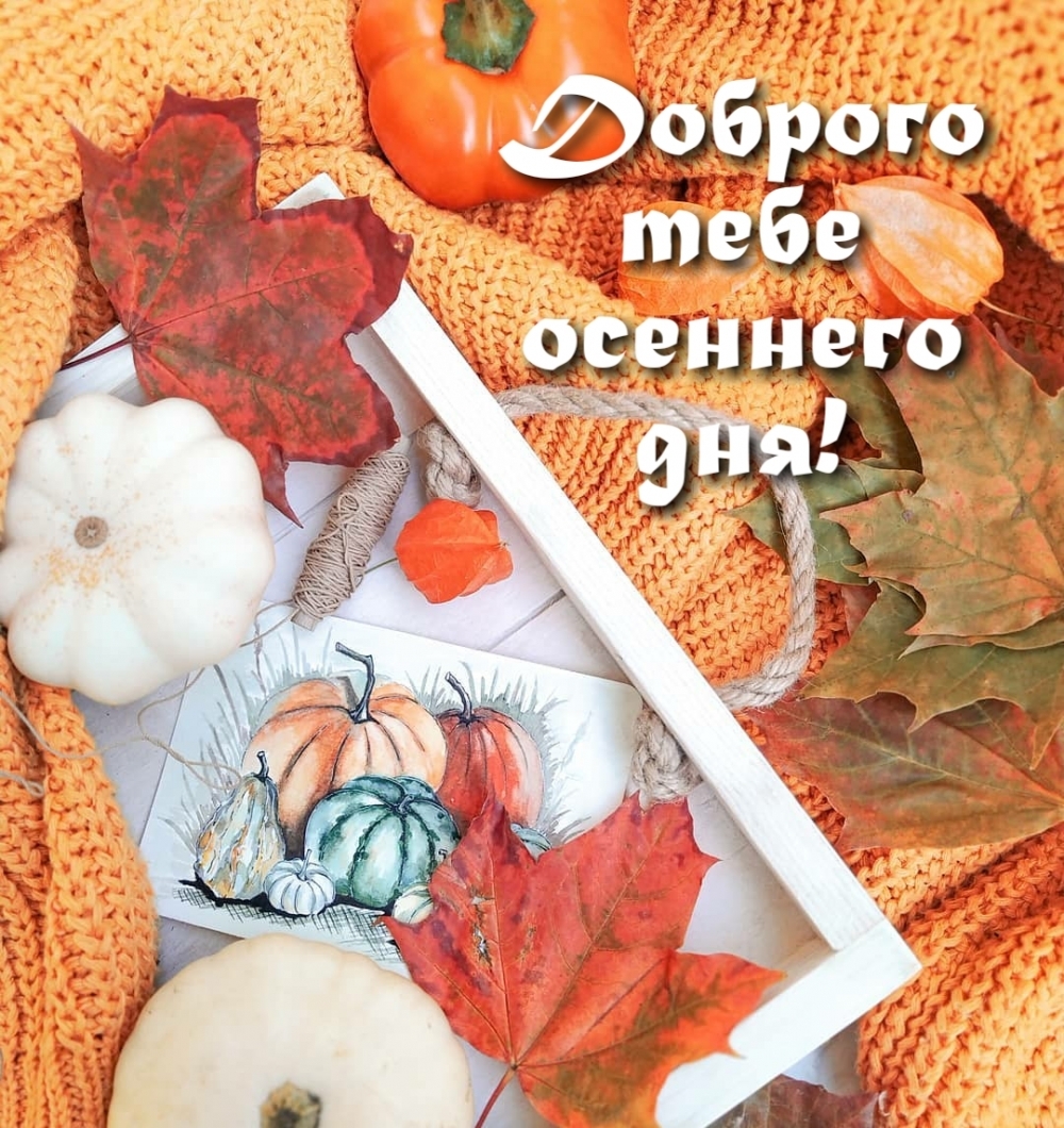 Картинка: Доброго тебе осеннего дня!