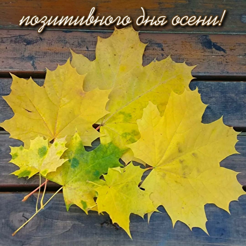 ��������: ����������� ��� �����!