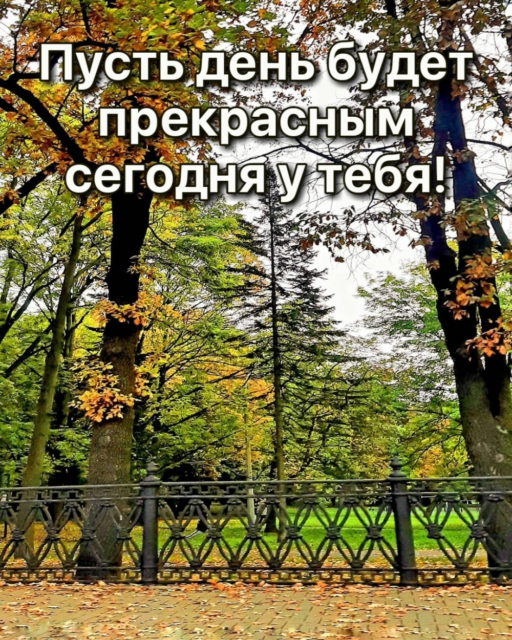 ��������: ����� ���� ����� ���������� ������� � ����!