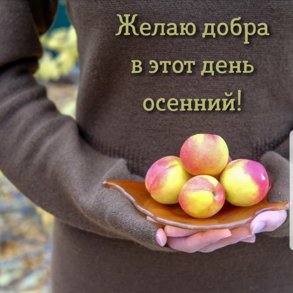 Картинка: Желаю добра в этот день осенний!