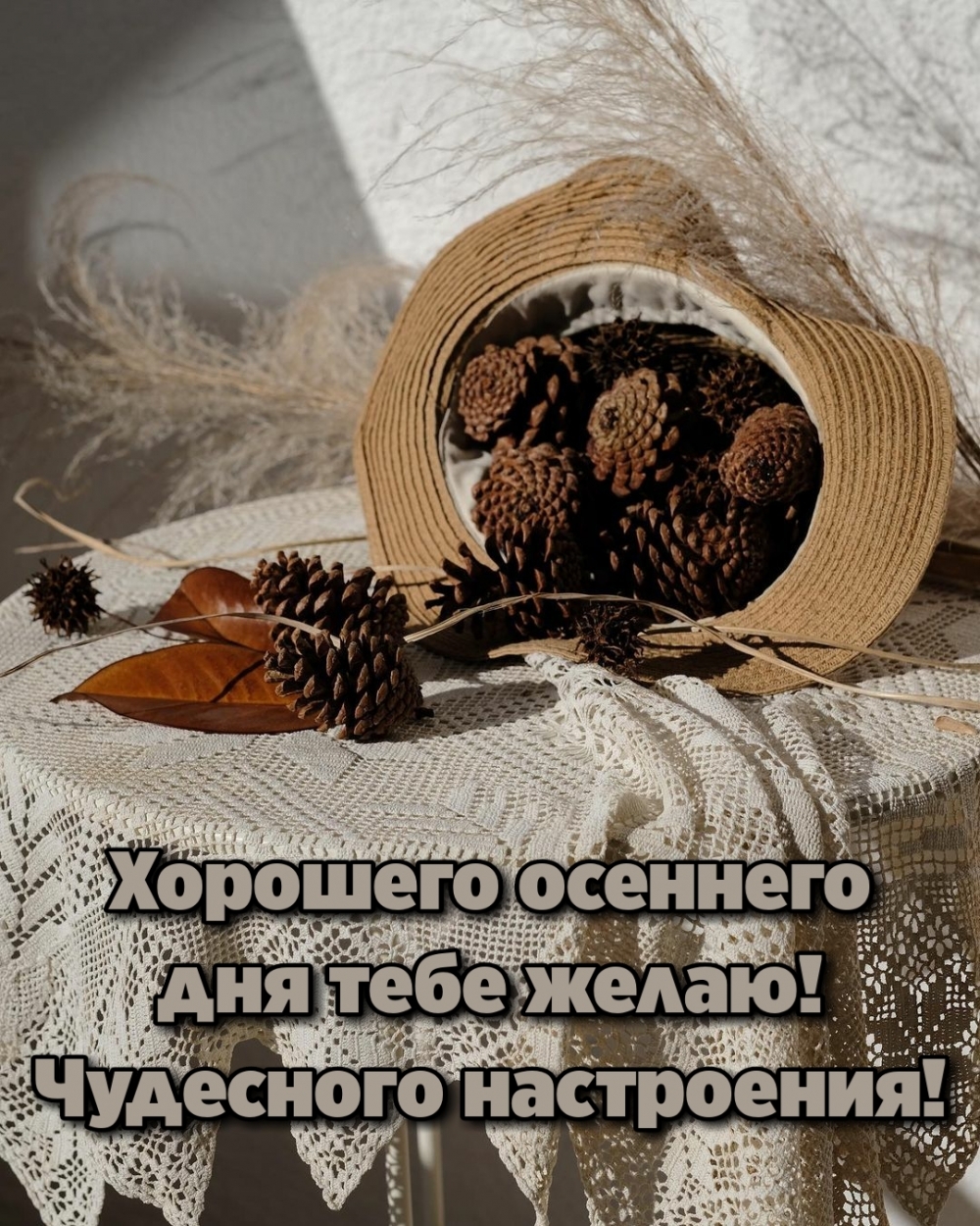 Картинка: Хорошего осеннего дня тебе желаю! Чудесного настроения!