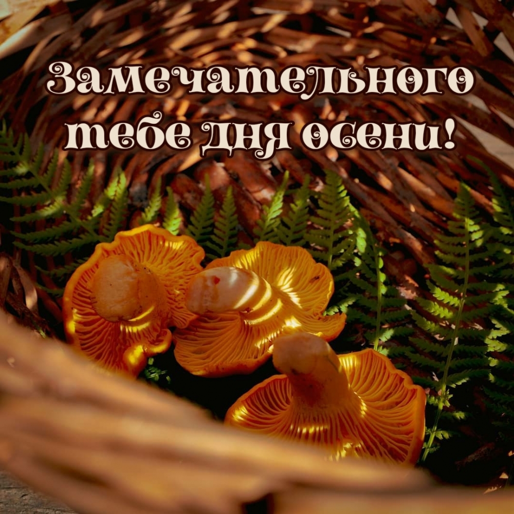 ��������: �������������� ���� ��� �����!