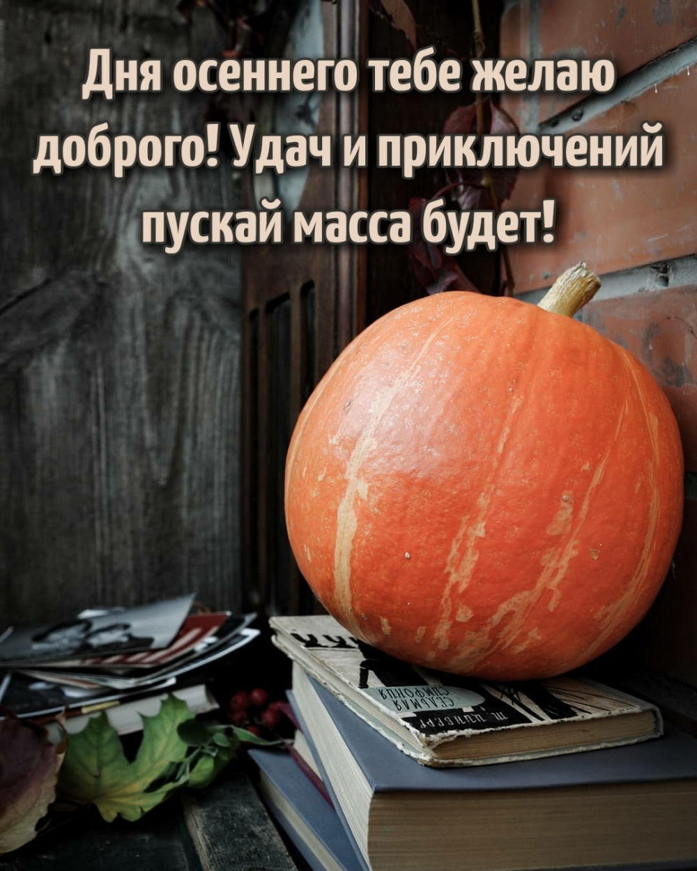 ��������: ���� � ����������� ������ ����� �����!