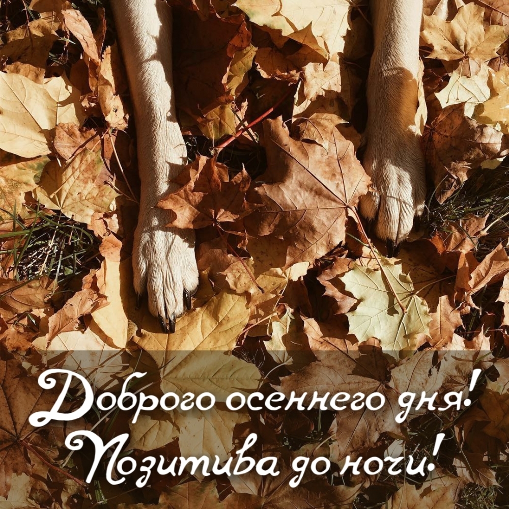 ��������: ������� �������� ���! �������� �� ����!