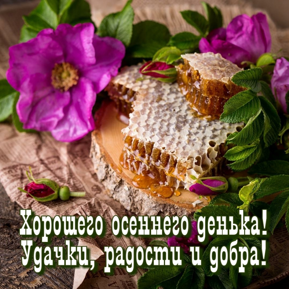 �������� �������� ������! ������, ������� � �����!