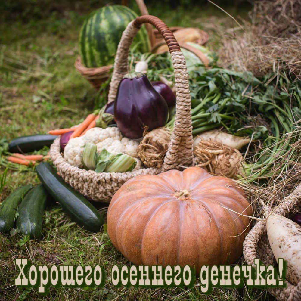Картинка: Хорошего осеннего денечка!