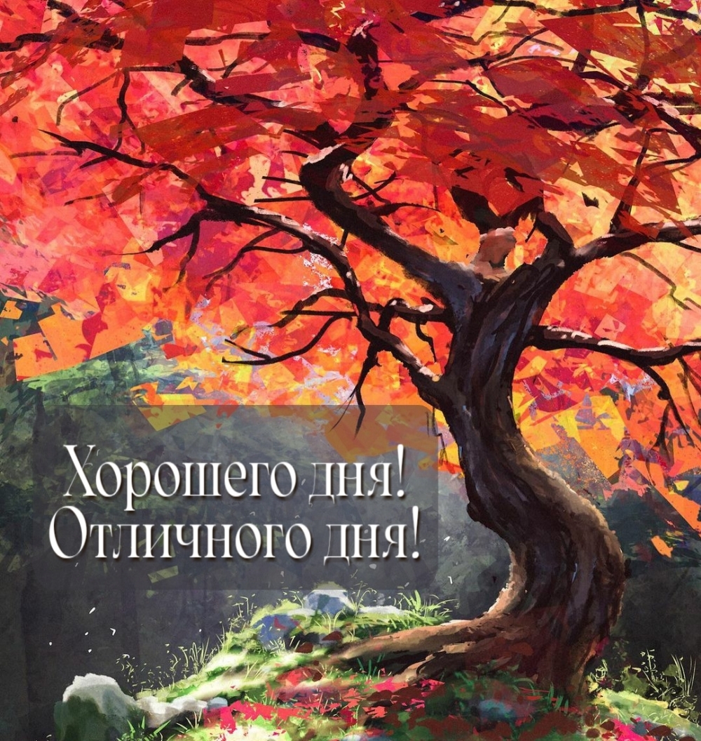 Картинка: Хорошего дня! Отличного дня!