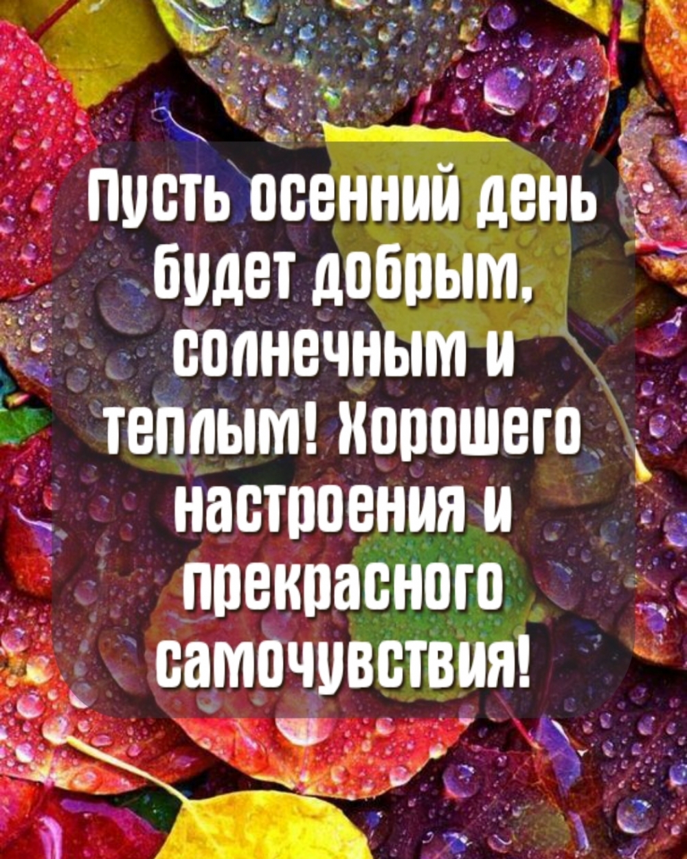 ����� ������� ���� ����� ������, ��������� � ������!