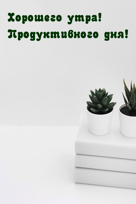 Картинка: Хорошего утра! Продуктивного дня!