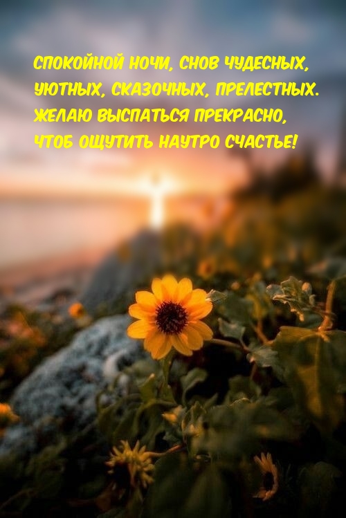 Картинка: Спокойной ночи, снов чудесных, уютных, сказочных, прелестных.