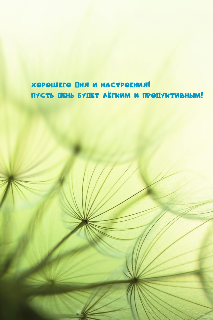 Картинка: Хорошего дня и настроения!