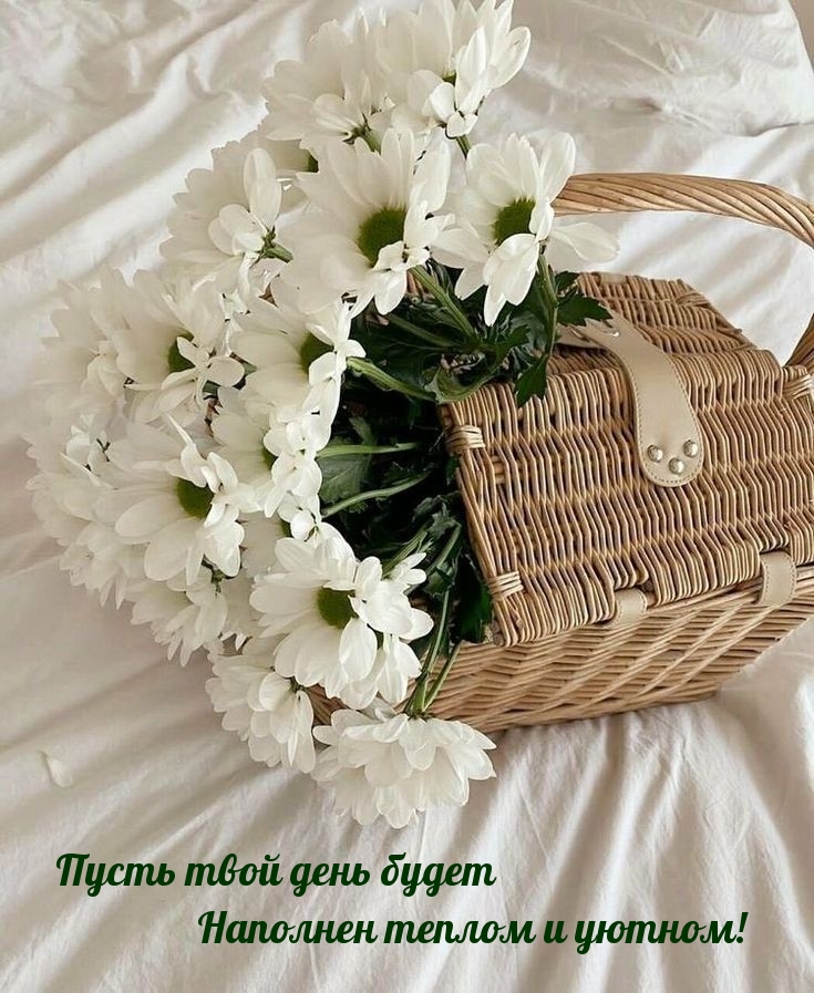 Картинка: Пусть твой день будет наполнен теплом и уютном!