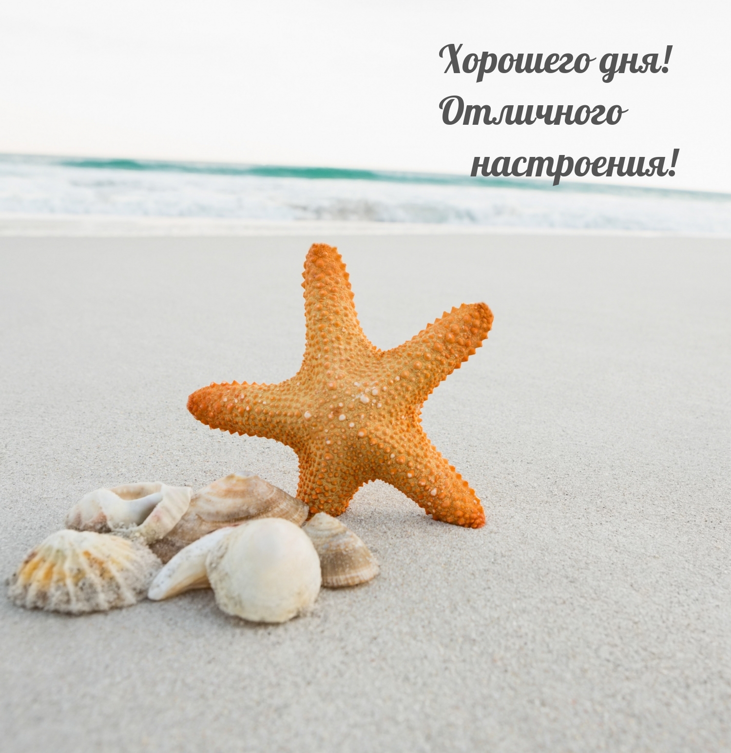 ��������: �������� ���! ��������� ����������!
