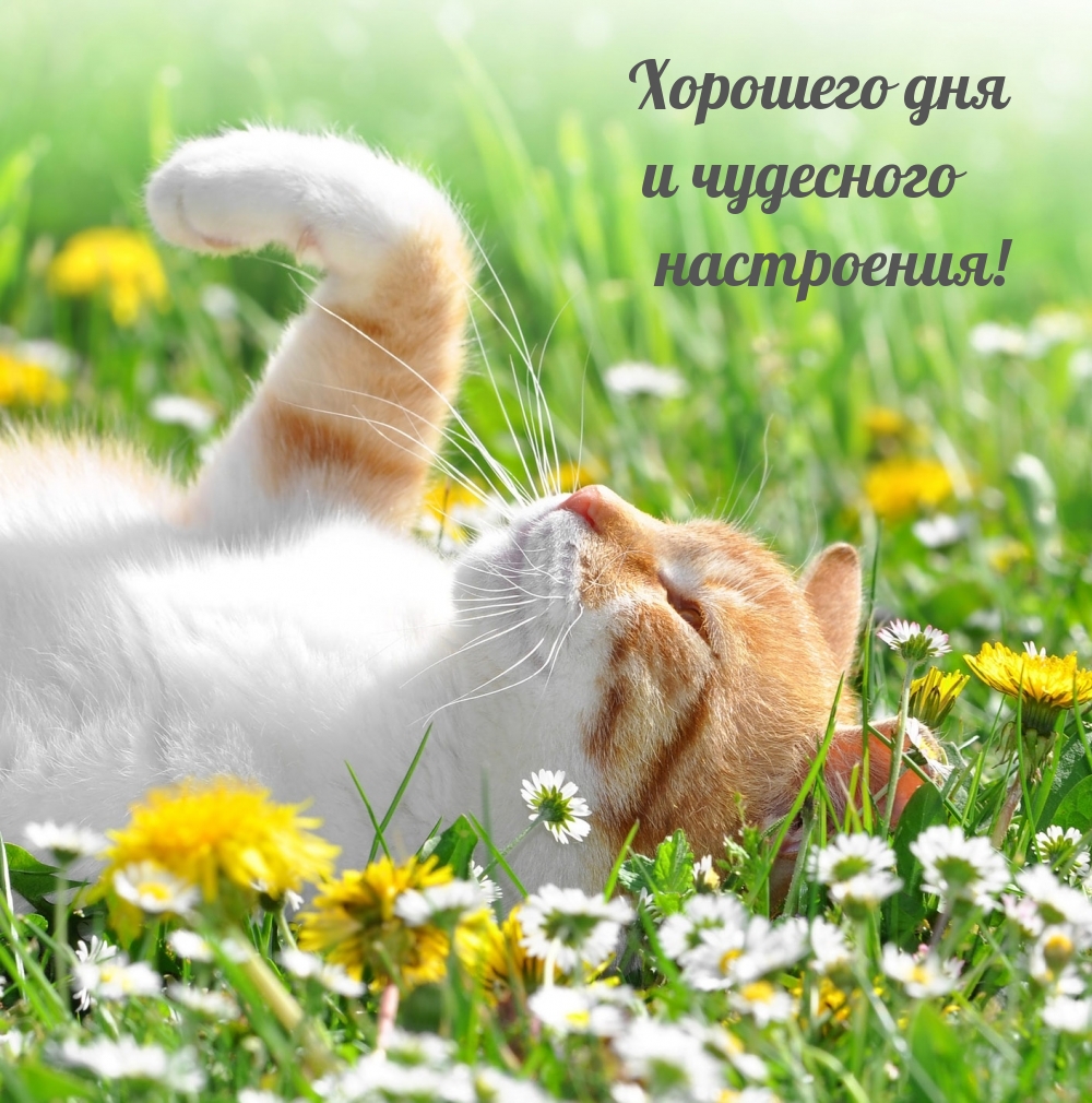 ��������: �������� ��� � ��������� ����������!