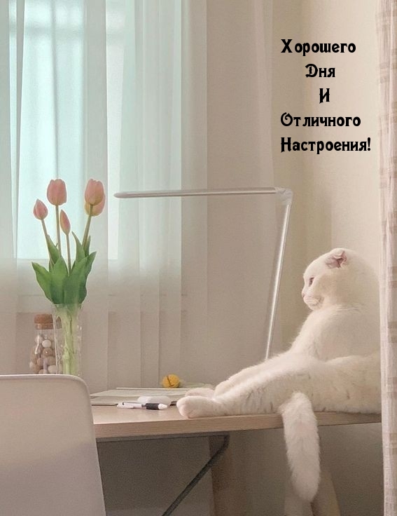 Картинка: Хорошего дня и отличного настроения!