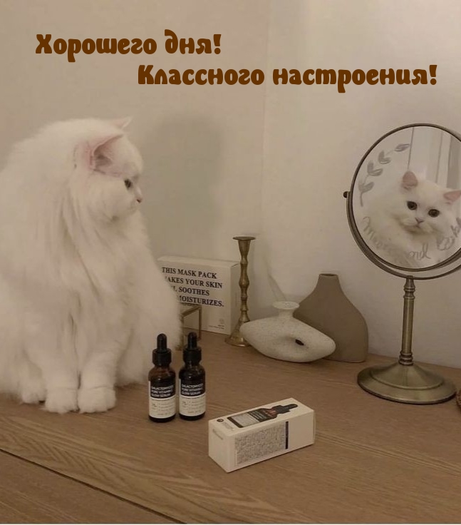 Картинка: Хорошего дня! Классного настроения!
