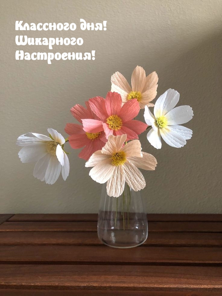 Картинка: Классного дня! Шикарного настроения!