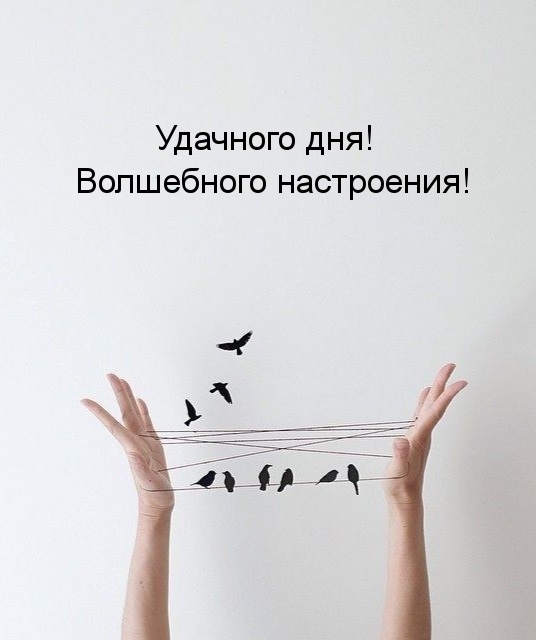 Картинка: Удачного дня! Волшебного настроения!