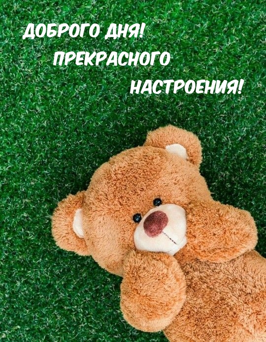 ��������: ������� ���! ����������� ����������!