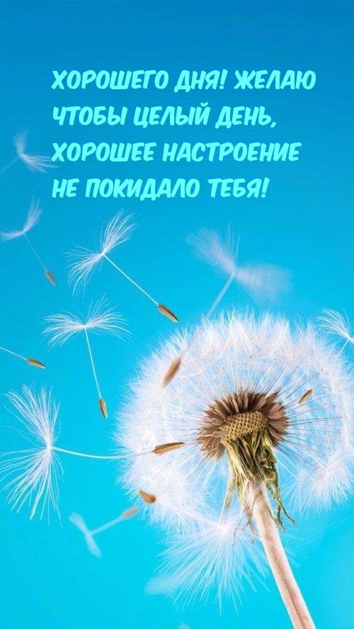 Картинка: Желаю чтобы целый день, хорошее настроение не покидало тебя!