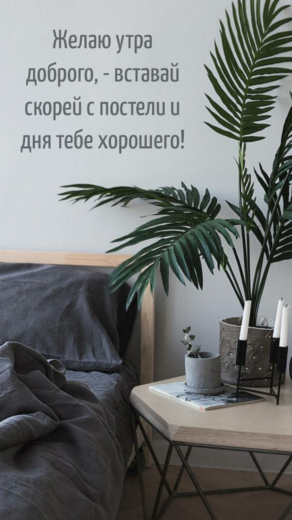 ��������: ����� ���� �������, - ������� ������ � �������