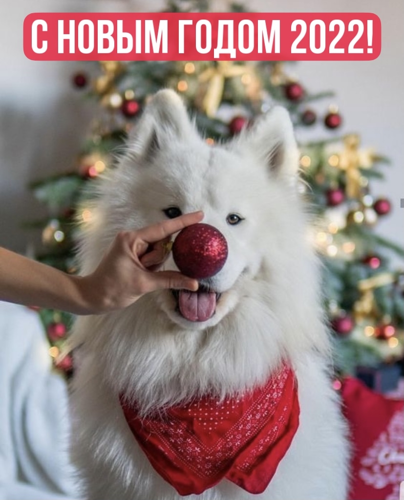 Картинка: С Новым годом 2022!