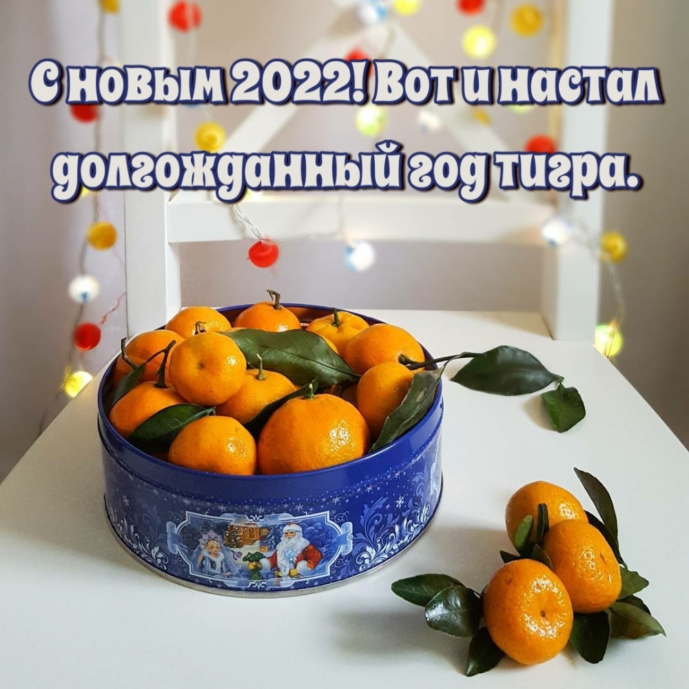 � ����� 2022! ��� � ������ ������������ ��� �����.