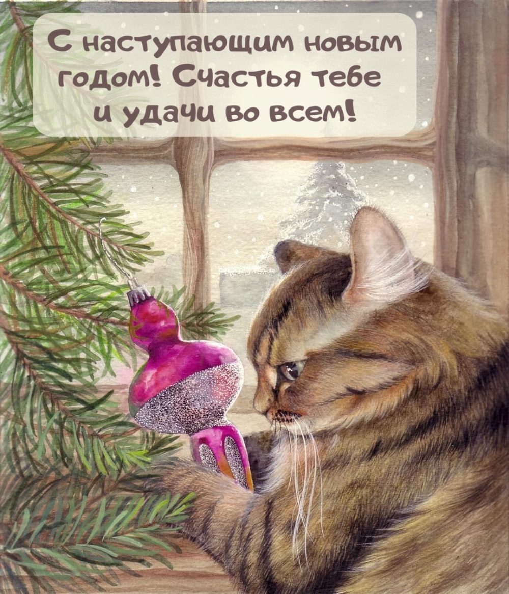 ��������: � ����������� ����� �����! ������� ���� � ����� �� ����!