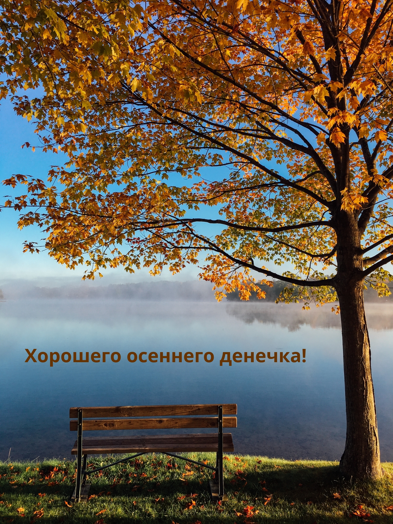 Картинка: Хорошего осеннего денечка!