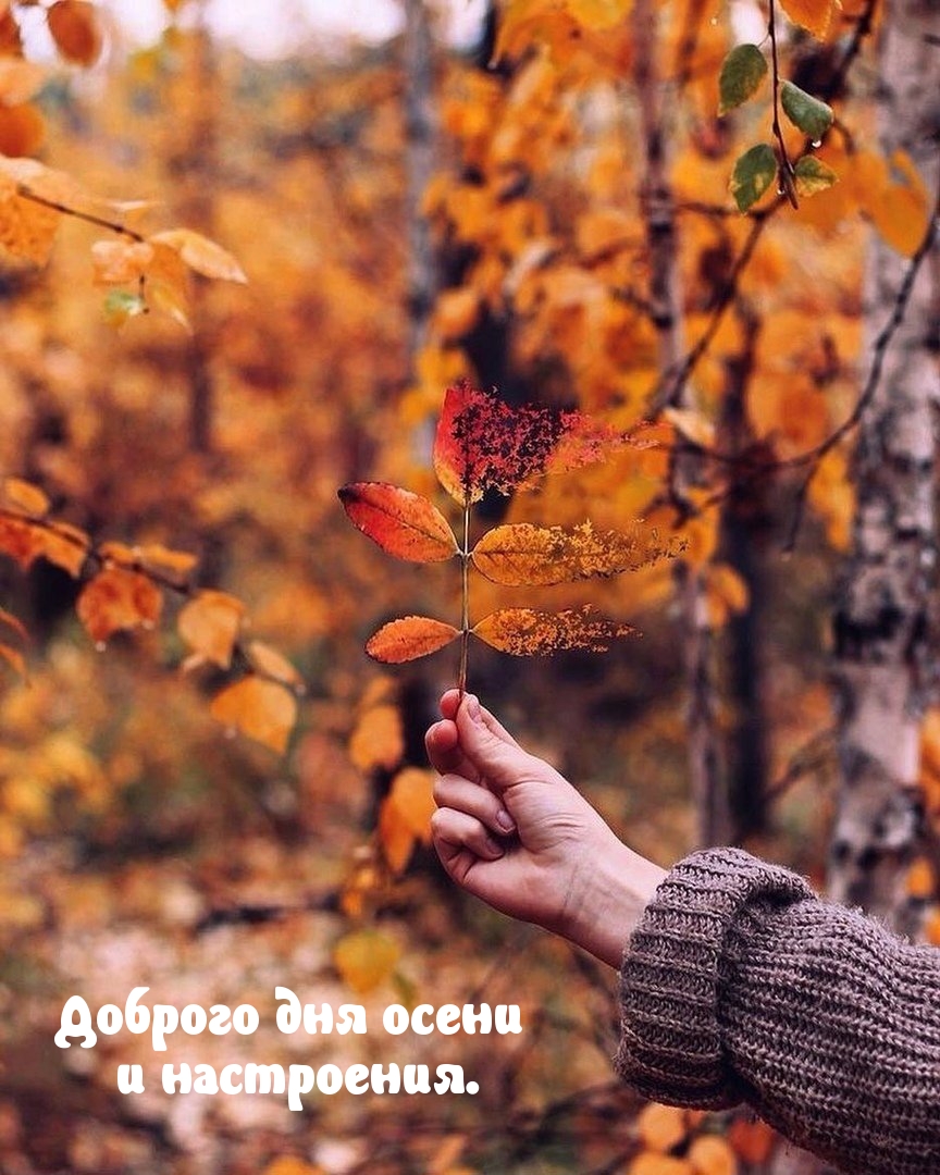 Картинка: Доброго дня осени и настроения.