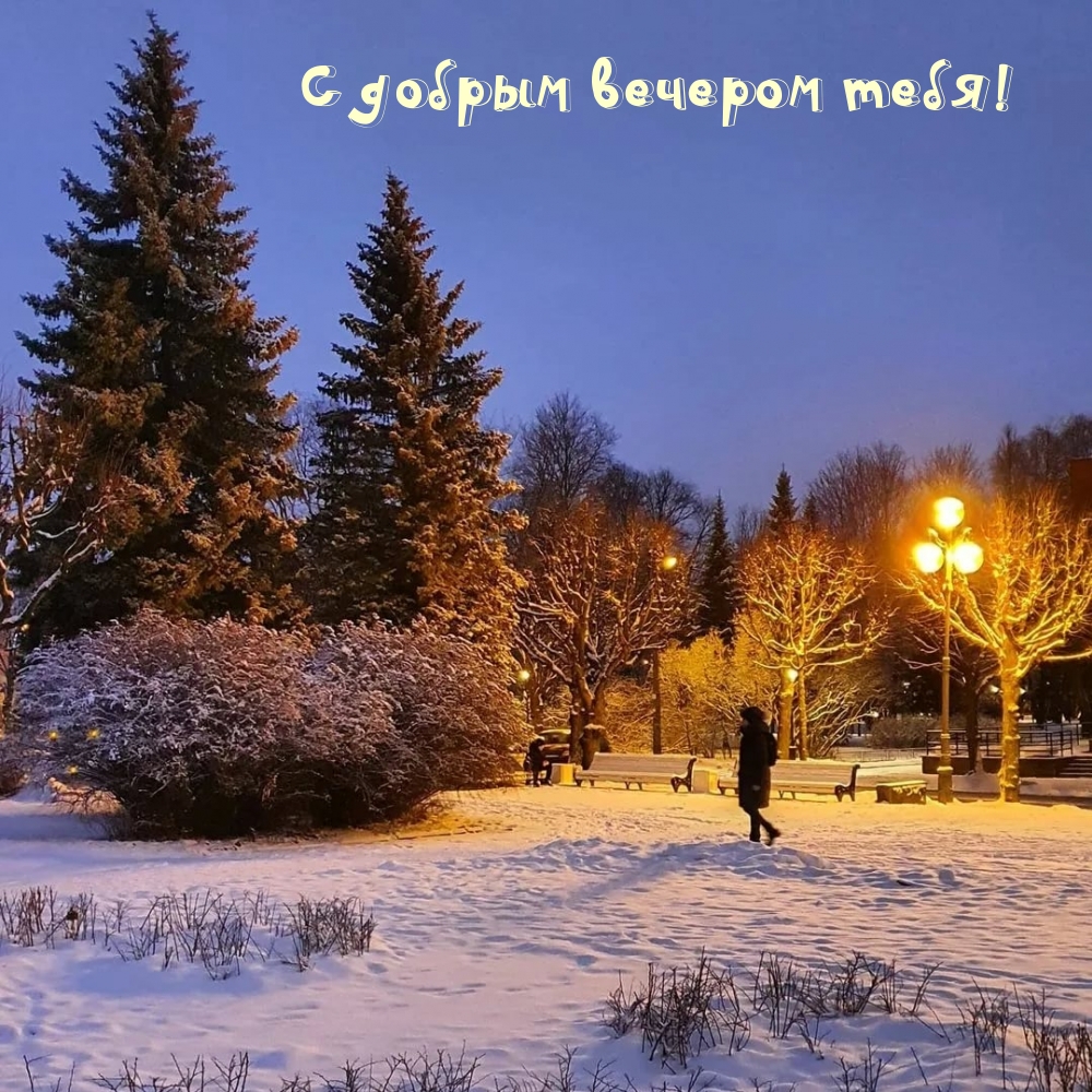 Картинка: С добрым вечером тебя!