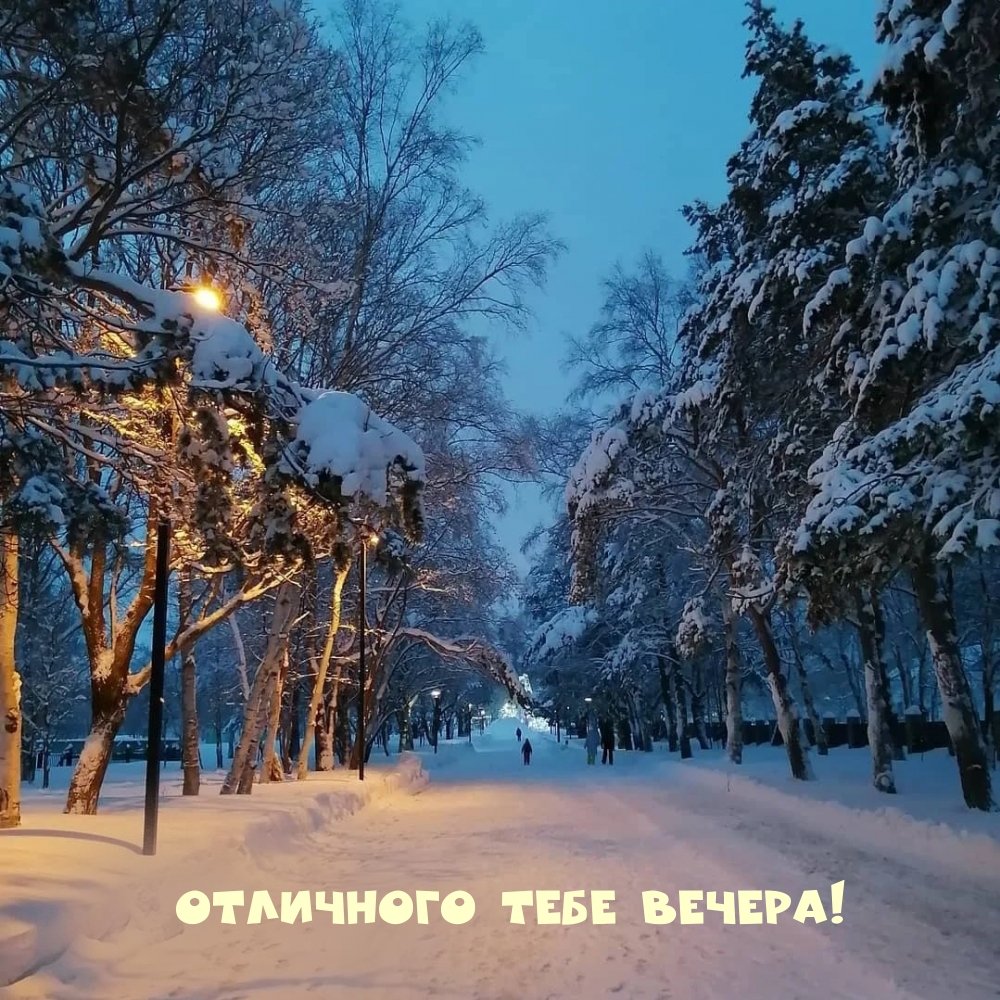 Картинка: Отличного тебе вечера!
