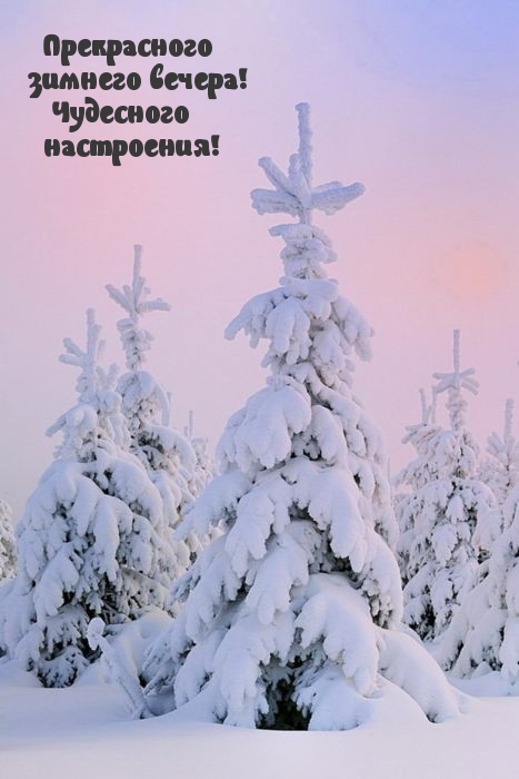 Картинка: Прекрасного зимнего вечера! Чудесного настроения!