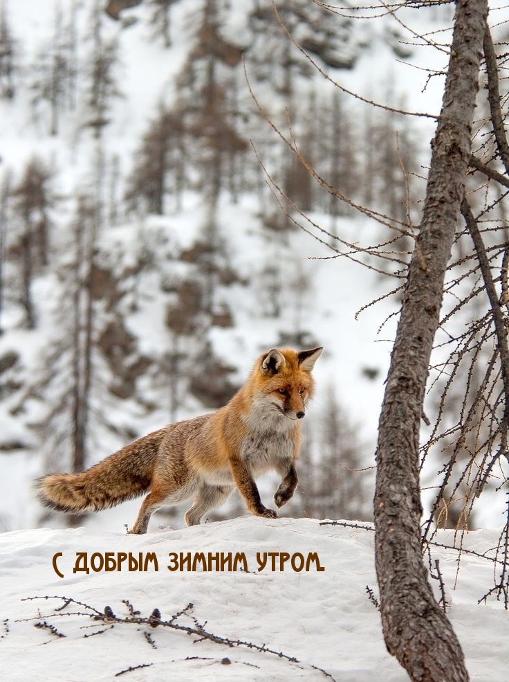 ��������: � ������ ������ �����.