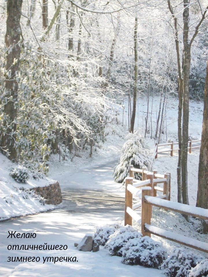 ��������: ����� ������������ ������� �������.